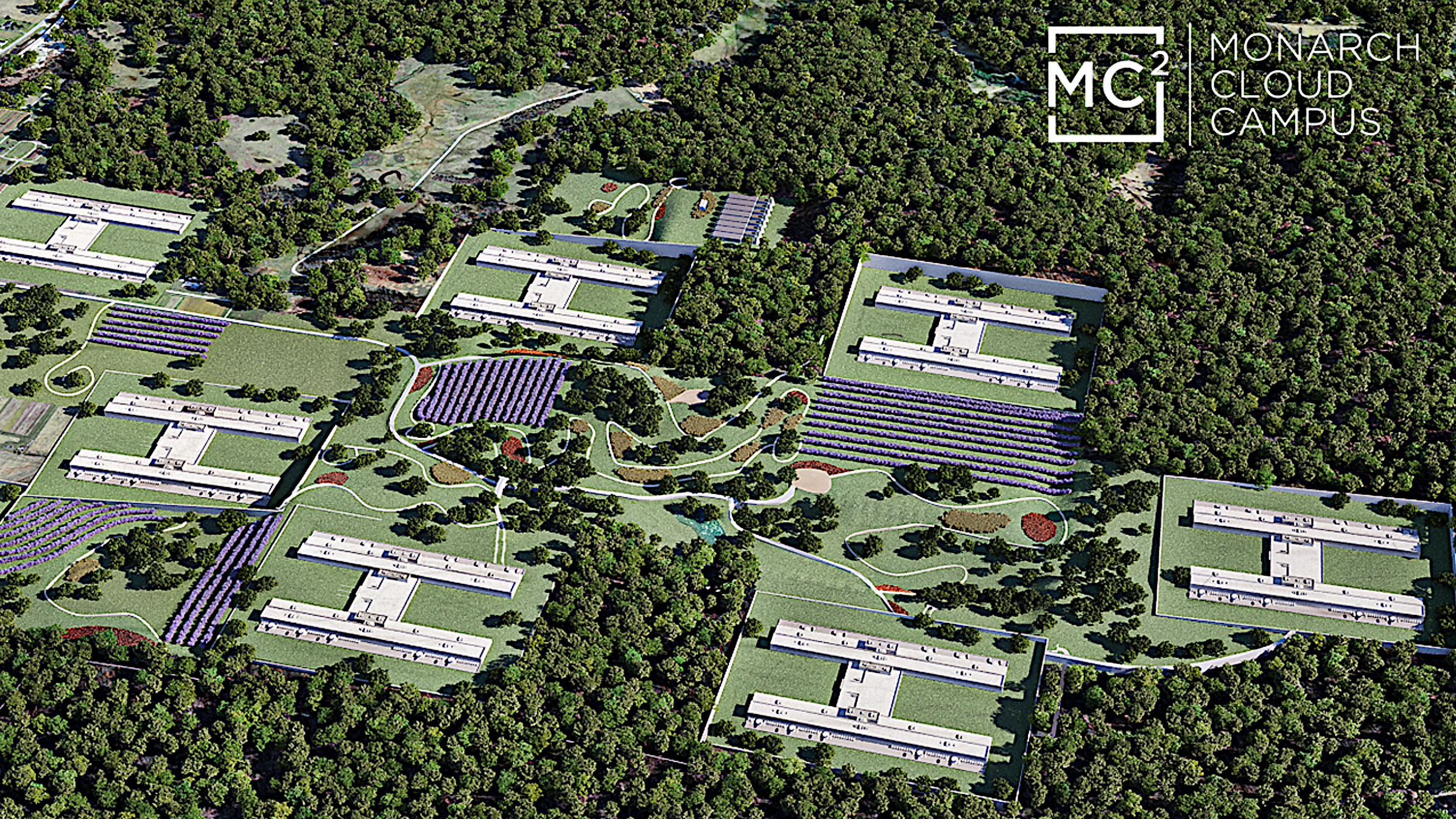 Morrisey announces plan to preserve chestnut trees in Mason County